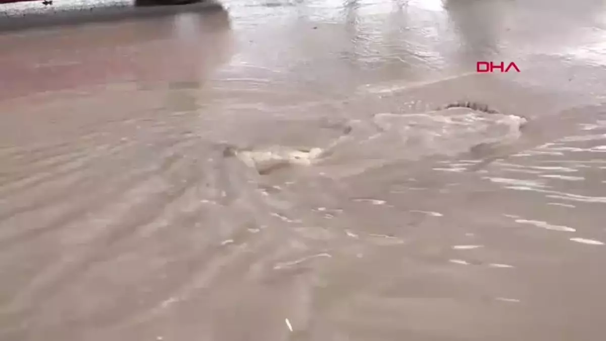 Elazığ’da Sağanak Yağış Hayatı Olumsuz Etkiledi