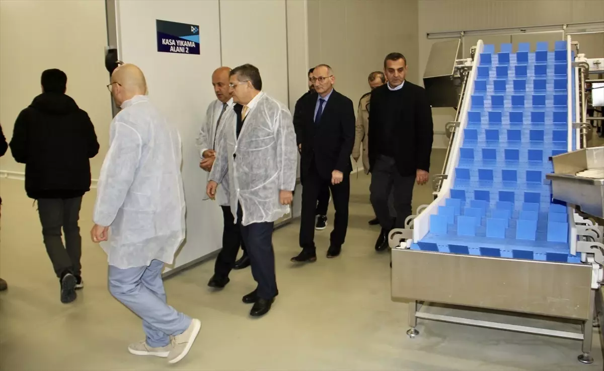 Sinop’ta Yeni Su Ürünleri Tesisi Açıldı