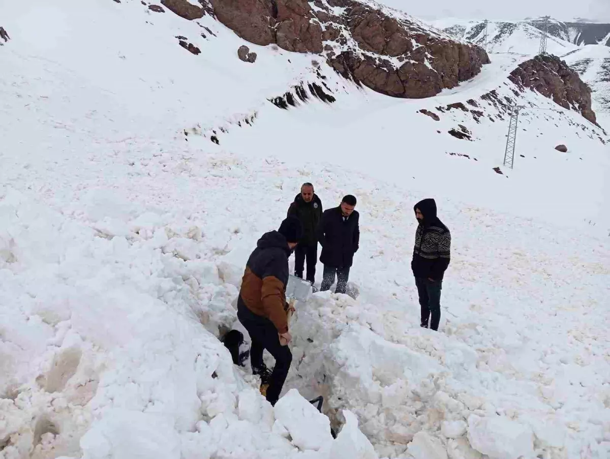 Şırnak’ta Çığ Faciası: Kepçe Operatörü Kurtarıldı